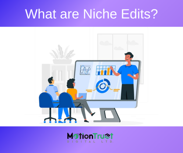 Niche Edits Services DA/DR 80+ - Image 2