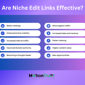 Are Niche Edit Links Effective