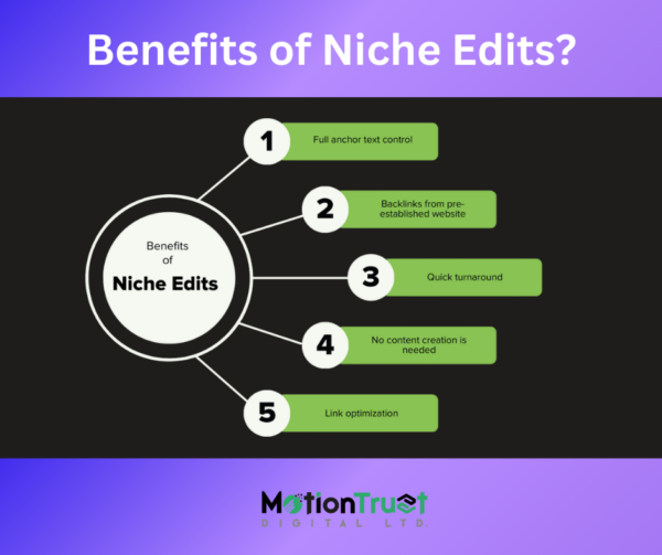 Niche Edits Services DA/DR 50+ - Image 2