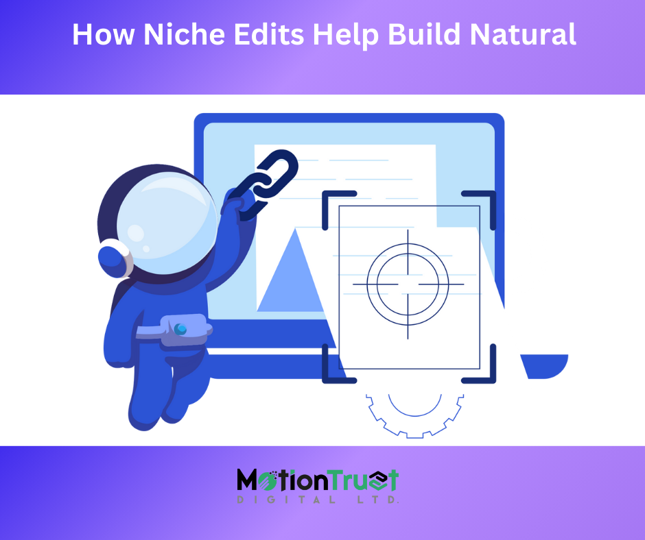 Niche Edits SEO